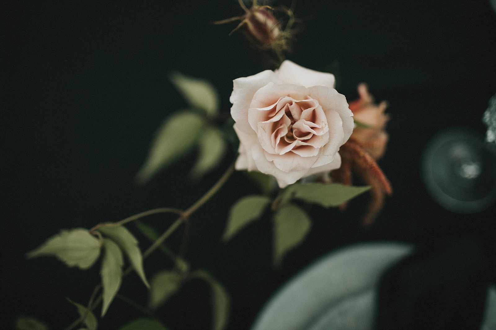 Peak District Elopement by wedding planner Natalie Hewitt