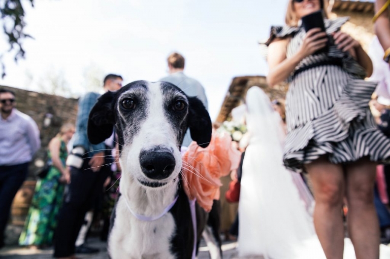 Castello Di Bibbione Wedding Tuscany Italy